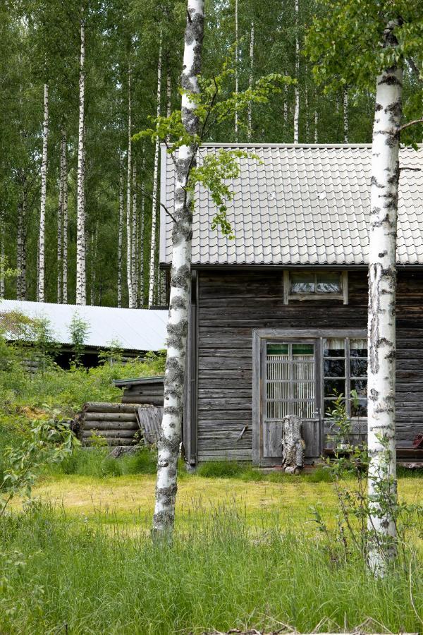 Bed and Breakfast Tarina-Aho Вуонислахти Экстерьер фото